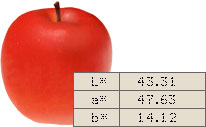1627470609669940.jpg 2-1.jpg
