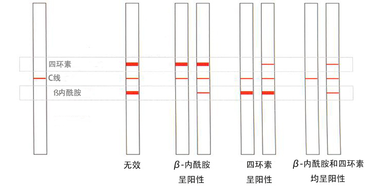 1649922026363185.jpg Twinsensor test kit-中文細(xì)節(jié).jpg