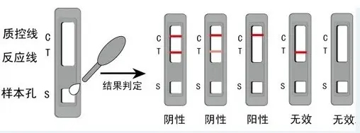 1657080582162214.jpg 檢測盒-內(nèi)容2.jpg