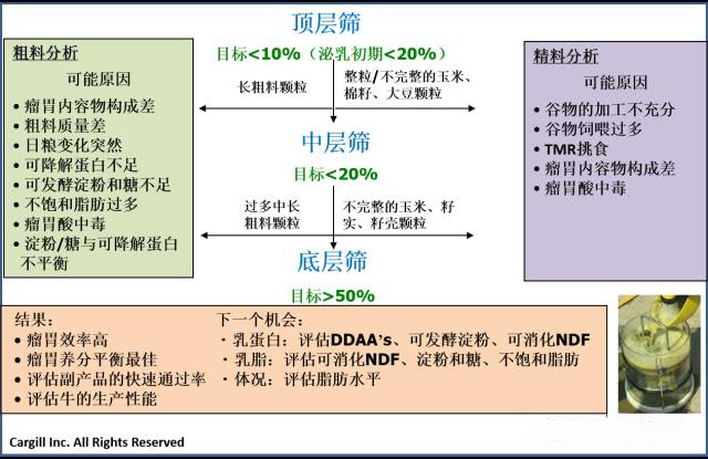 1660203185454817.jpg 嘉吉篩-分析參考.jpg